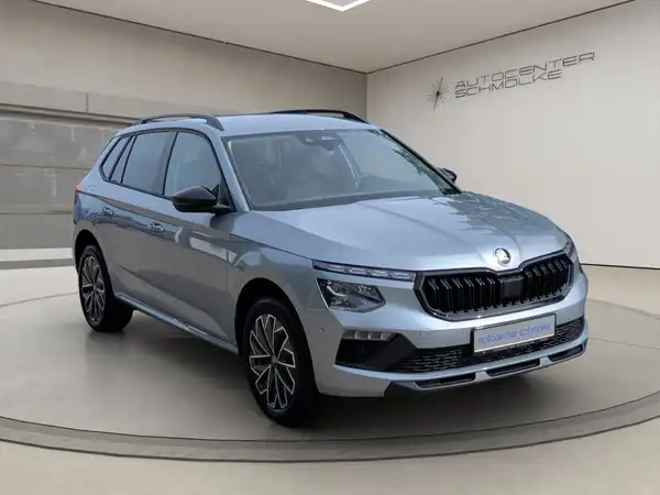 ŠKODA KAMIQ (8/15)