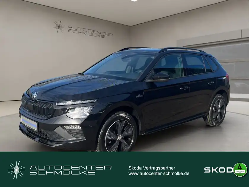 ŠKODA KAMIQ (1/15)