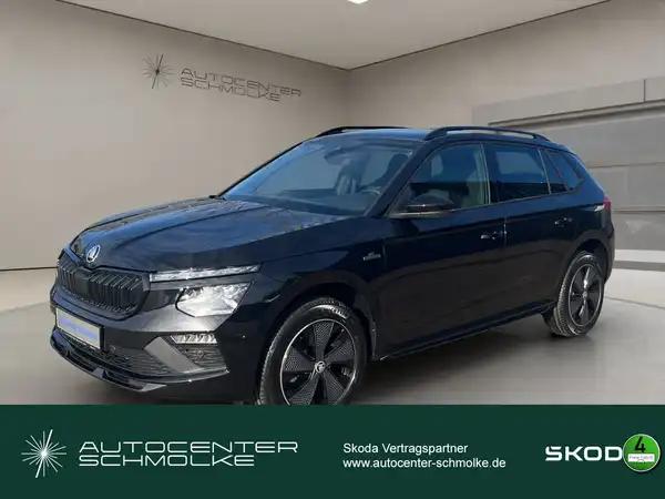 ŠKODA KAMIQ (1/15)