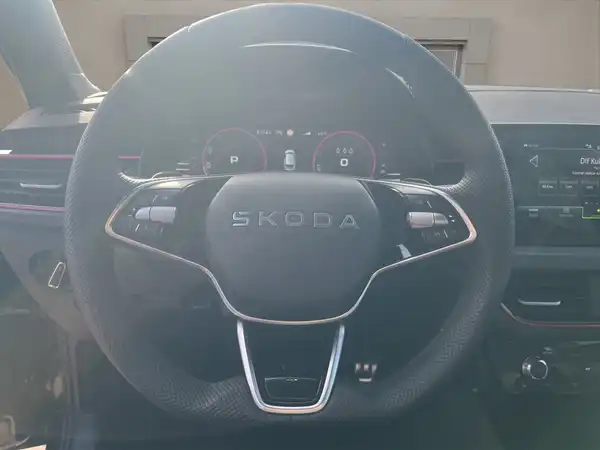 ŠKODA KAMIQ (13/15)