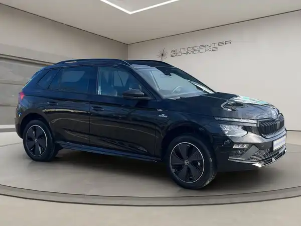 ŠKODA KAMIQ (8/15)