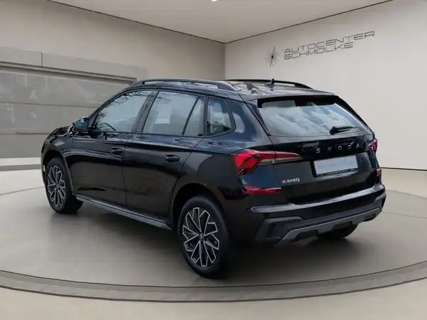 ŠKODA KAMIQ (4/15)