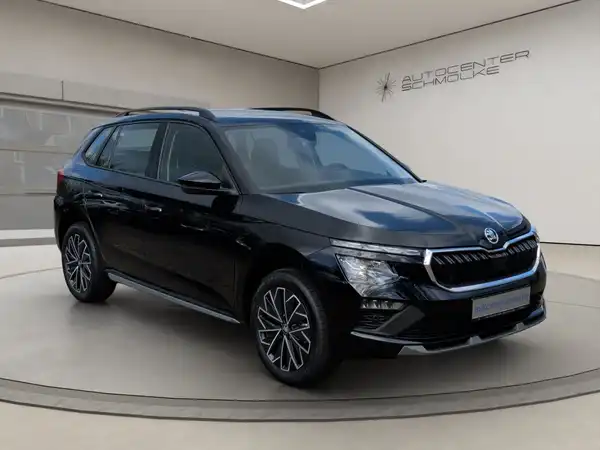 ŠKODA KAMIQ (8/15)