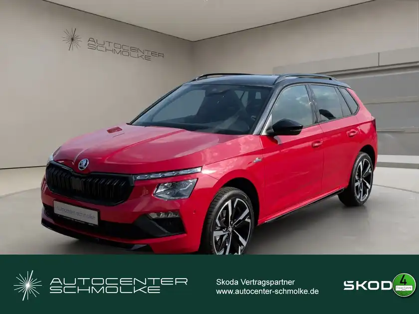 ŠKODA KAMIQ (1/15)