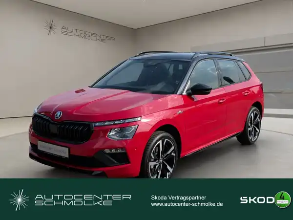 ŠKODA KAMIQ (1/15)