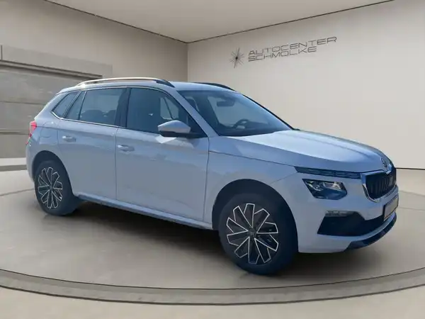 ŠKODA KAMIQ (8/15)