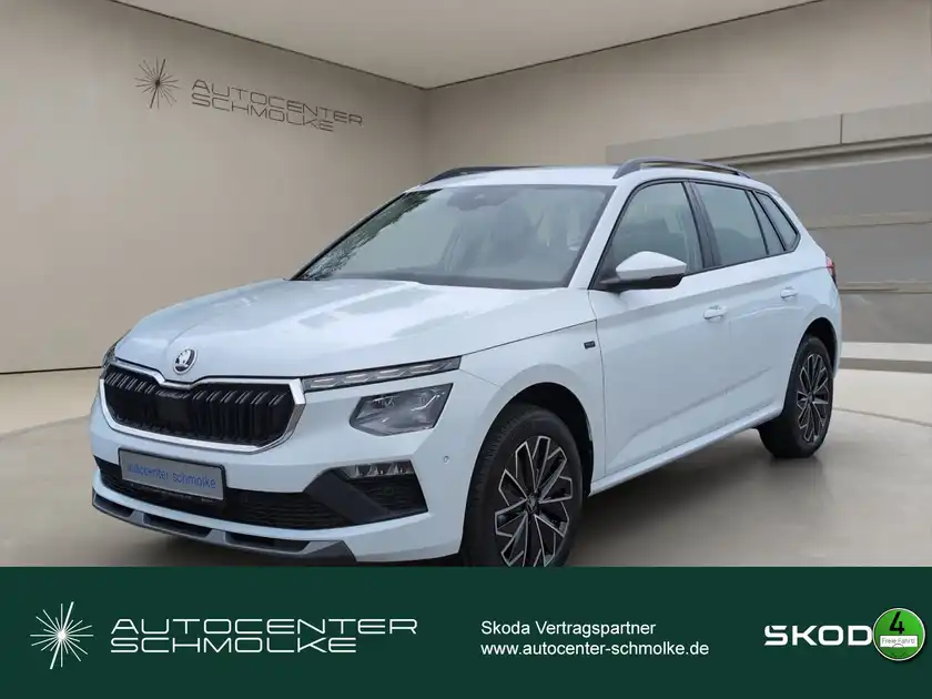 ŠKODA KAMIQ (1/15)