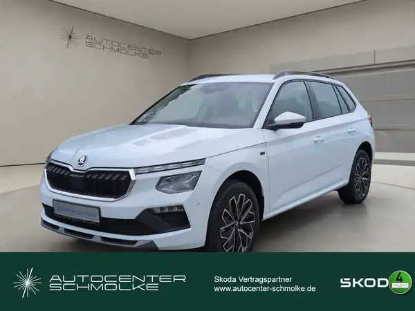 ŠKODA KAMIQ (1/15)