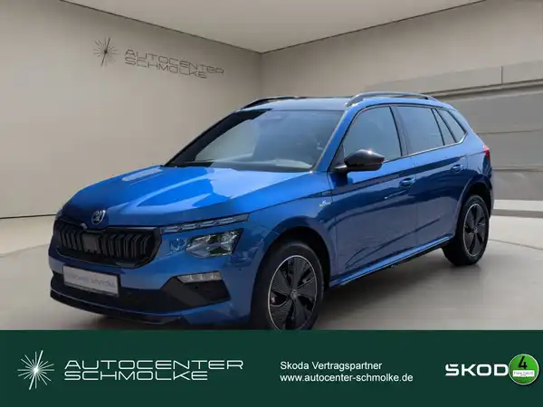ŠKODA KAMIQ (1/15)