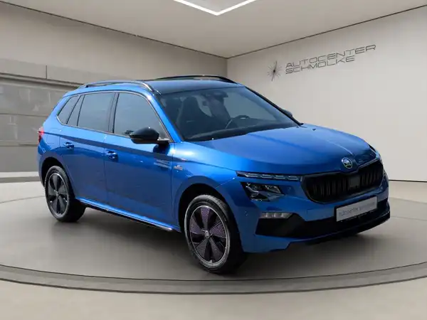 ŠKODA KAMIQ (8/15)
