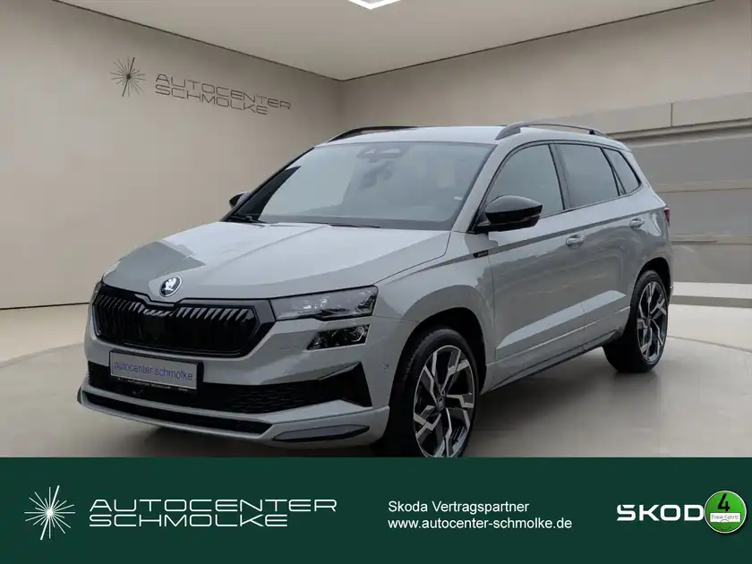 ŠKODA KAROQ (1/15)