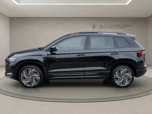 ŠKODA KAROQ (3/15)