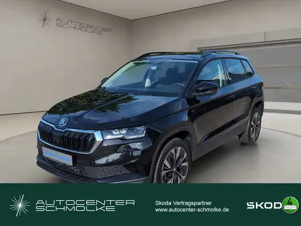 ŠKODA KAROQ (1/15)