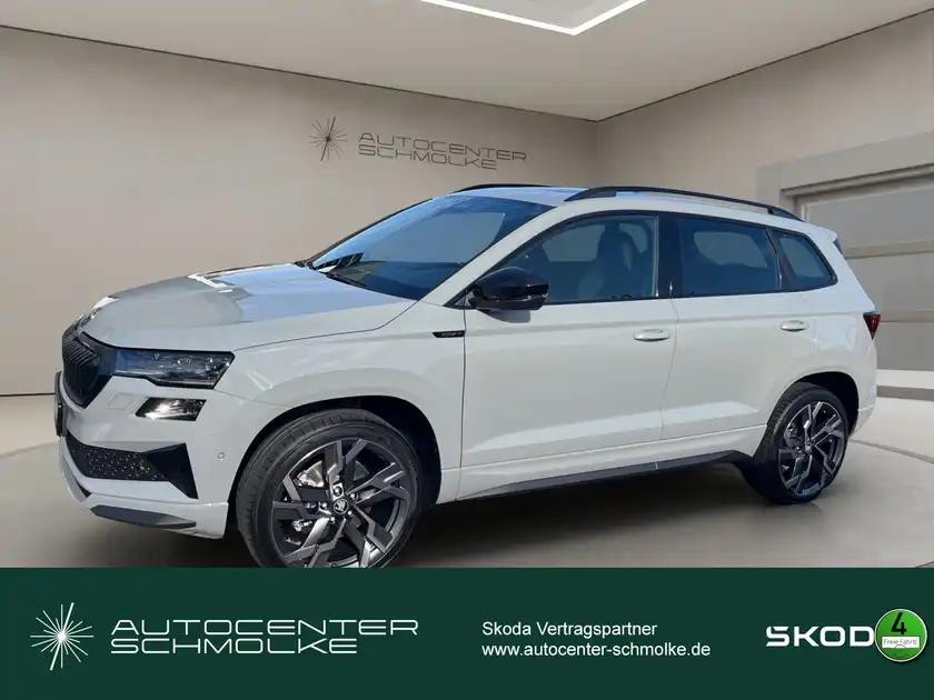 ŠKODA KAROQ (1/15)