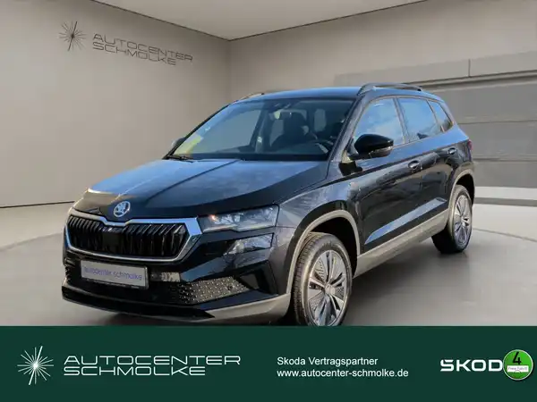 ŠKODA KAROQ (1/15)