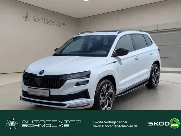 ŠKODA KAROQ (1/15)