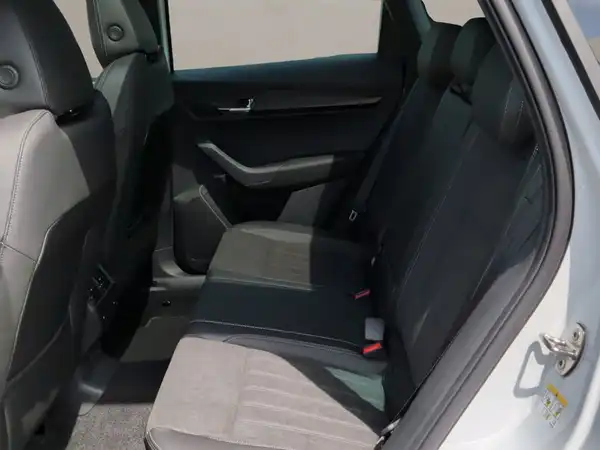 ŠKODA KAROQ (12/15)