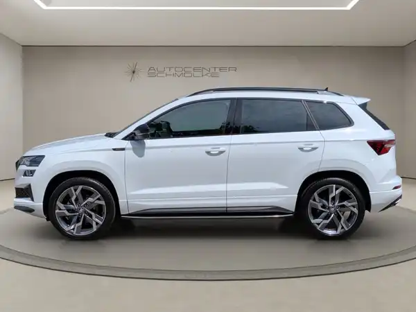 ŠKODA KAROQ (3/15)