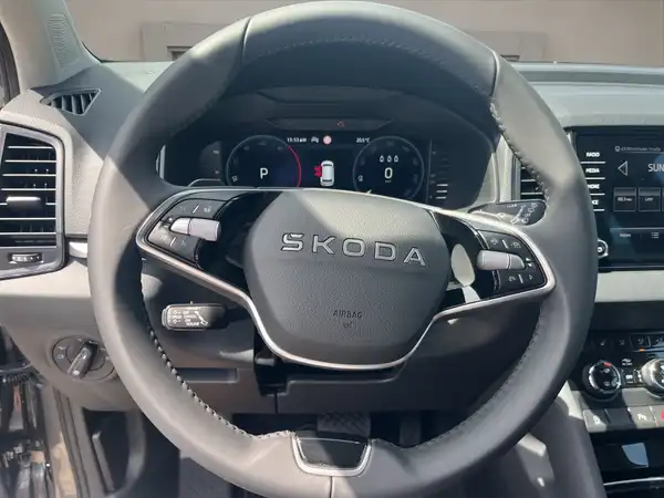 ŠKODA KAROQ (13/15)
