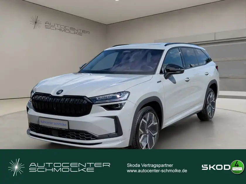 ŠKODA KODIAQ (1/15)