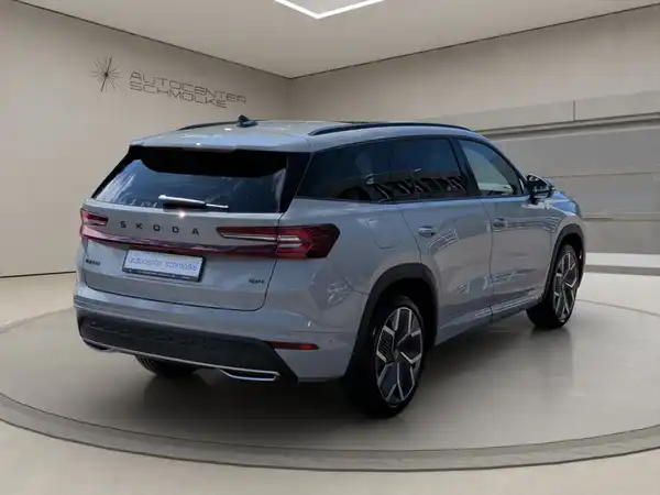 ŠKODA KODIAQ (6/15)