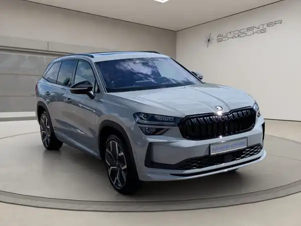 ŠKODA KODIAQ (8/15)