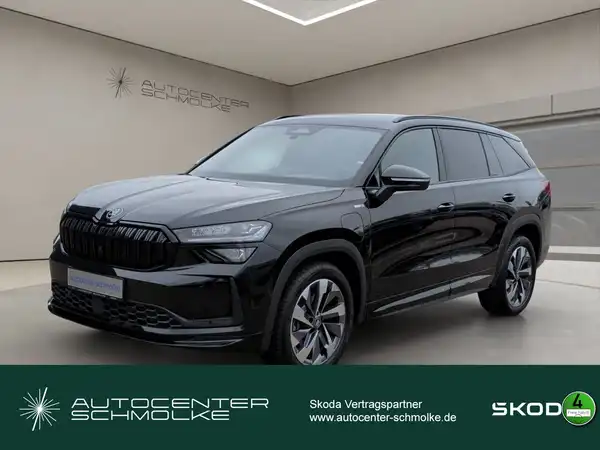 ŠKODA KODIAQ (1/15)