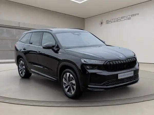 ŠKODA KODIAQ (8/15)
