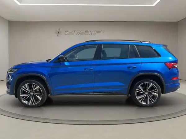 ŠKODA KODIAQ (3/15)