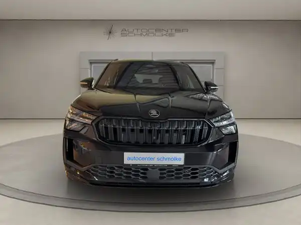 ŠKODA KODIAQ (2/15)