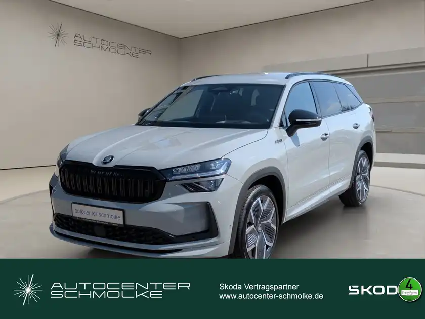 ŠKODA KODIAQ (1/15)