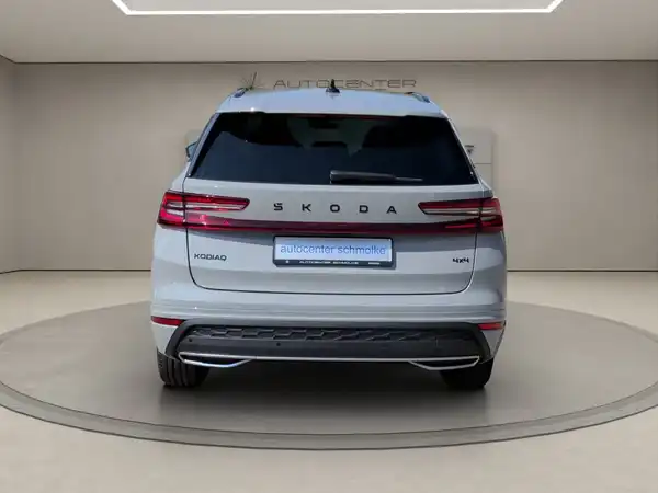 ŠKODA KODIAQ (5/15)
