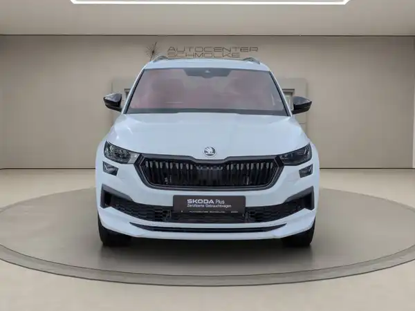 ŠKODA KODIAQ (2/15)