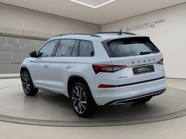 ŠKODA KODIAQ (4/15)