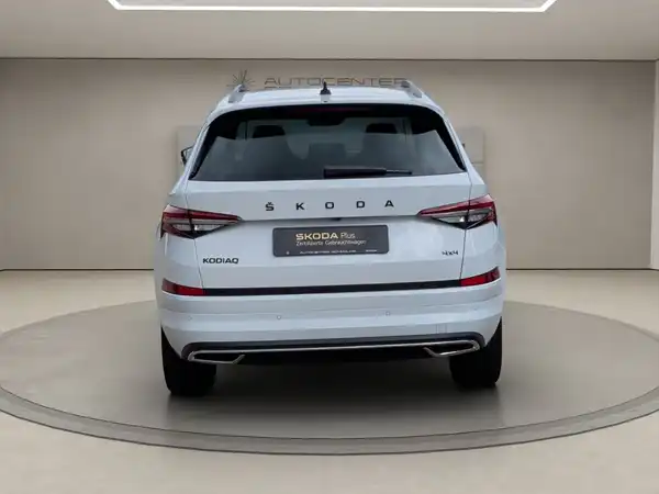 ŠKODA KODIAQ (5/15)