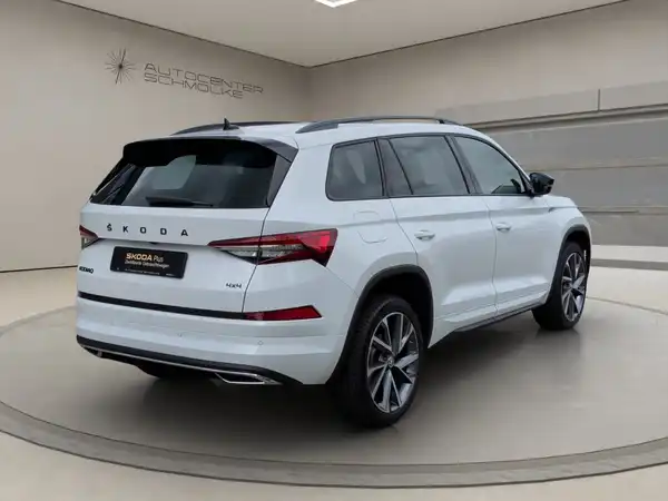 ŠKODA KODIAQ (6/15)