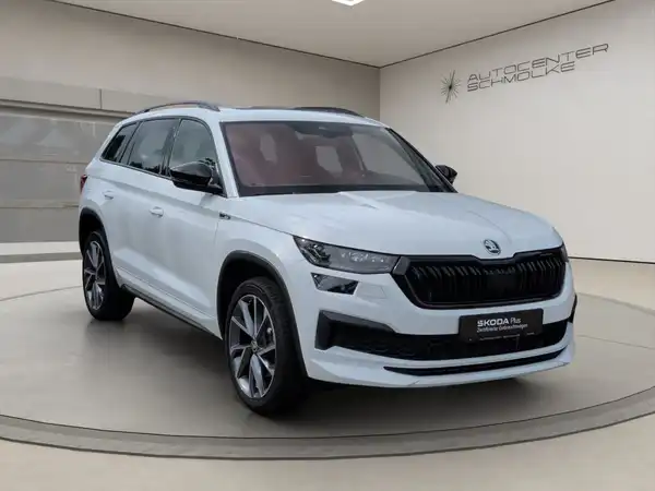 ŠKODA KODIAQ (8/15)